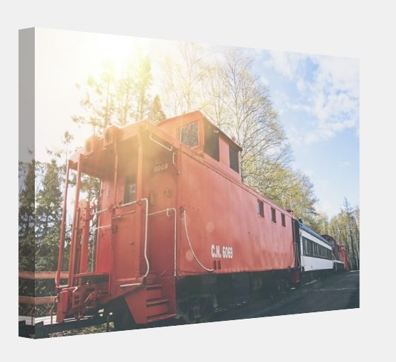 Transform Your Space: Discover the Perfect Canvas Print for Every Style