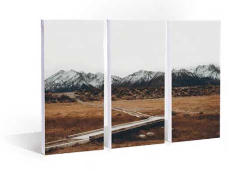 Canvas Triptych